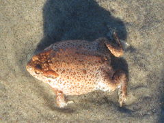 IMG_0477.JPG