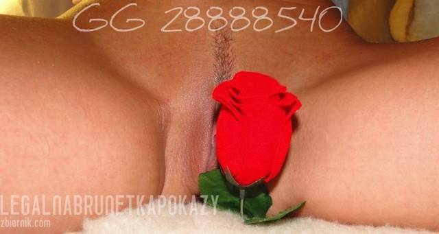 LegalnaBrunetkaPokazy