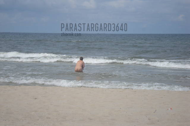 parastargard3640