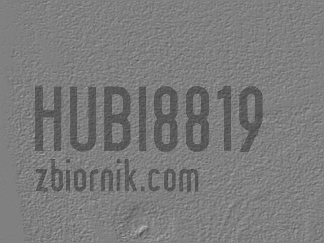 hubi8819