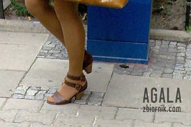 Dgas002v.jpg - AGALA