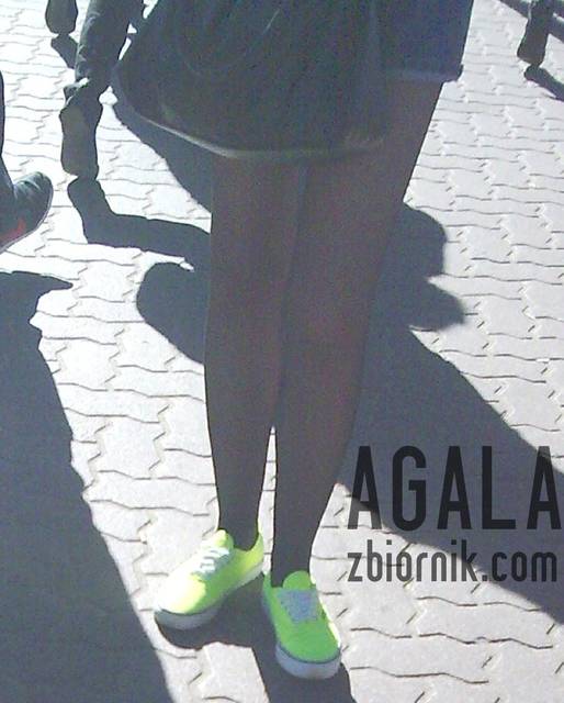 Grumea00cza.jpg - AGALA