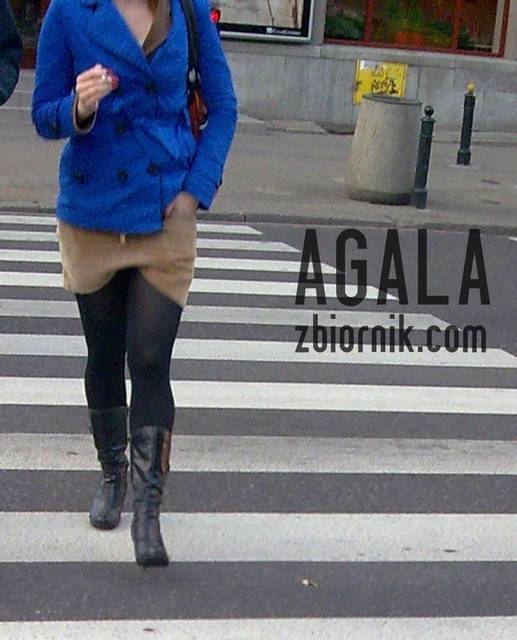 Jajde013cz.jpg - AGALA
