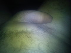 DSC00099.JPG