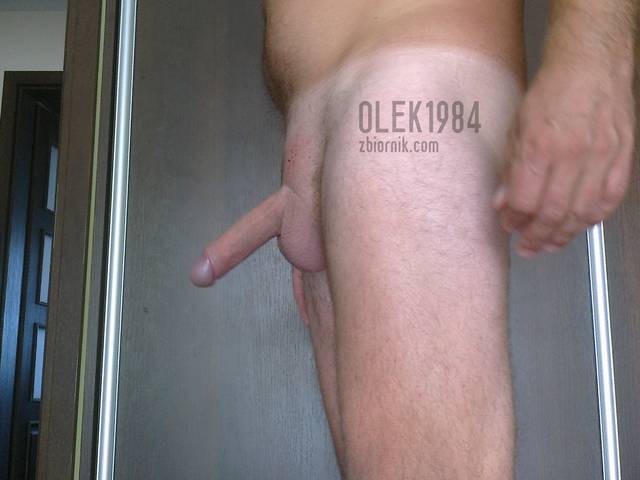 olek1984