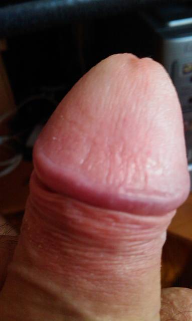 IMAG0932.1.jpg - ny39