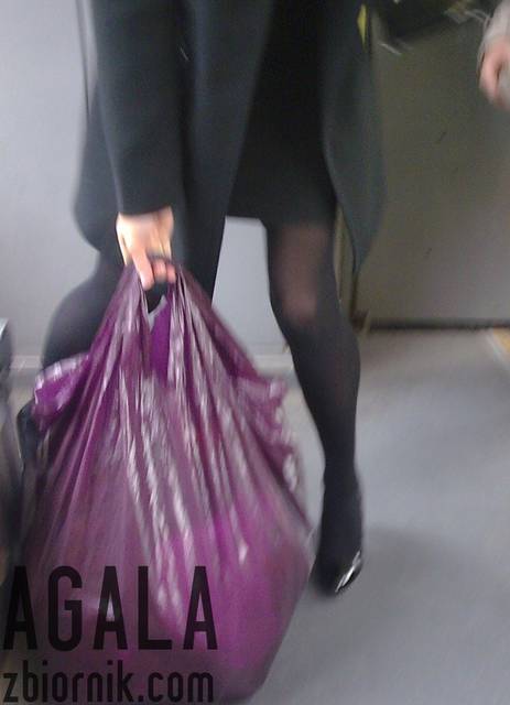Ipn003cz.jpg - AGALA