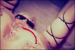 cream pie