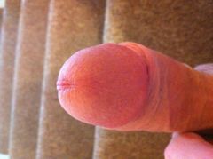 IMG_0493.JPG