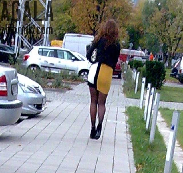 Cta00cz.jpg - AGALA