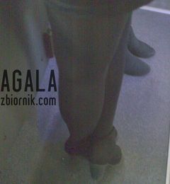 Tajg01cz.jpg