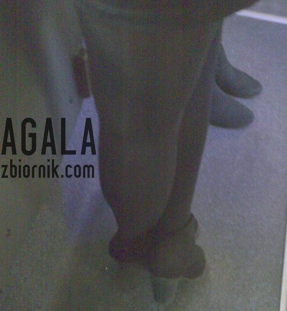 Tajg01cz.jpg - AGALA