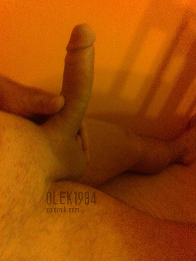olek1984