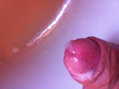 IMG_0501.JPG