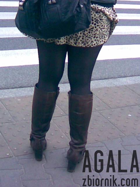 Zdjęcie022cz.jpg - AGALA