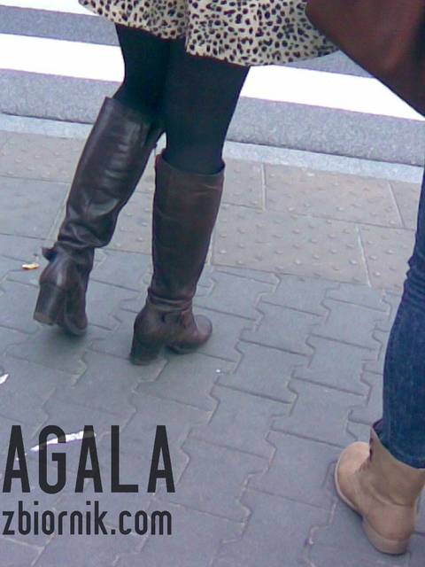 Zdjęcie020cz.jpg - AGALA