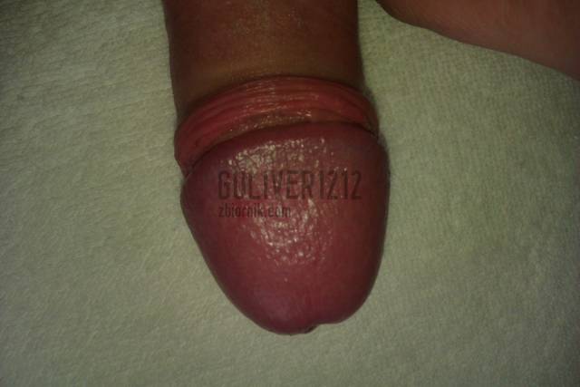 IMAG0518.jpg - guliver1212