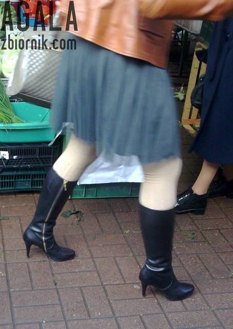Kot001odj.jpg - AGALA