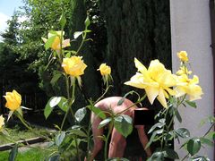 P1010025.JPG
