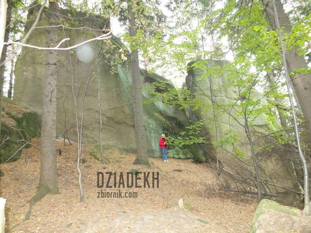 Teraz można ocenić wielkość - dziadekh