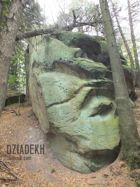 Ciekawy kształt - dziadekh