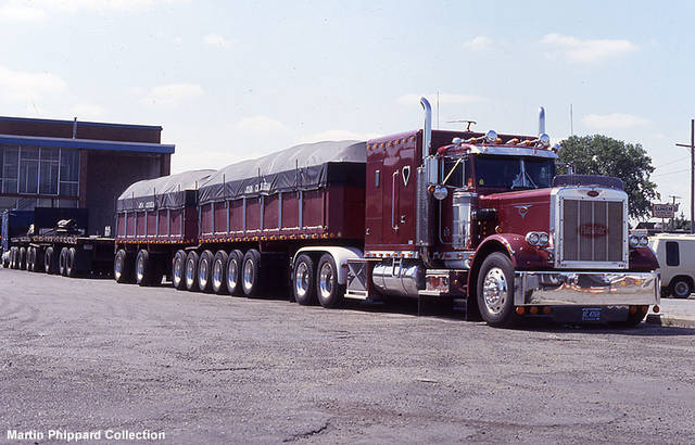42gucia