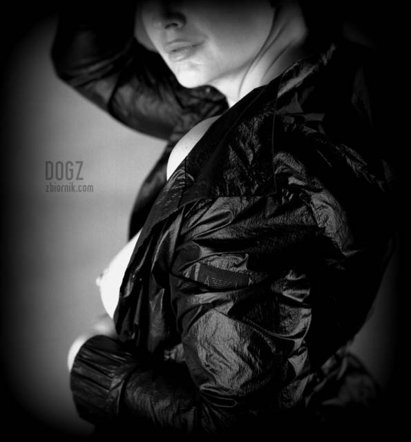 studio1.jpg - Dogz