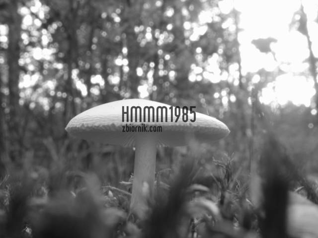 169.JPG - hmmm1985