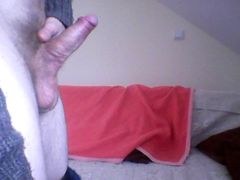 Snapshot_20121029.jpg