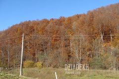 "Wszystko czerwone"