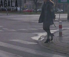 Zni073cz.jpg