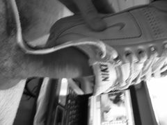 PB0425291.JPG