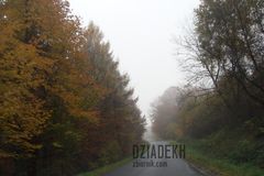 Pogoda raczej nie zachęca do spacerów.