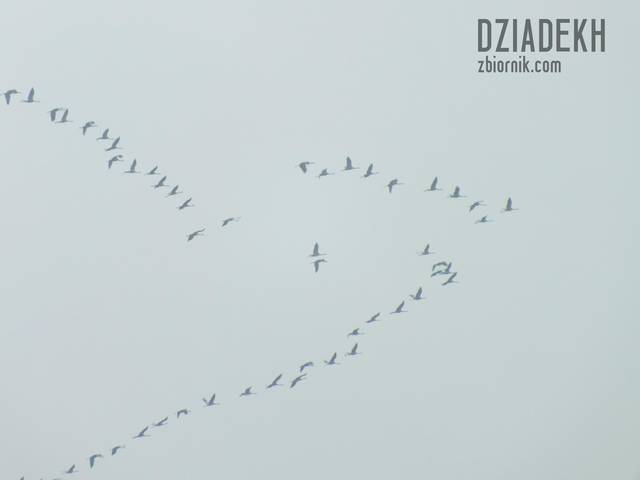 Wielki klucz nad Ustrzykami - dziadekh