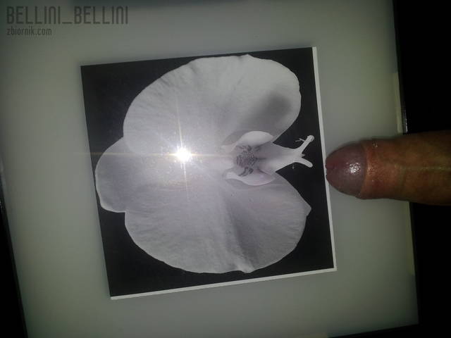 BELLINI_BELLINI