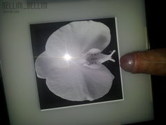 20121113_183436.jpg
