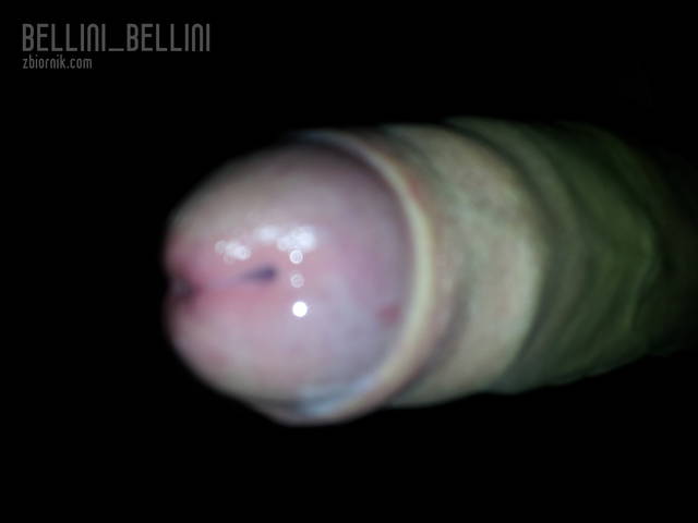 BELLINI_BELLINI