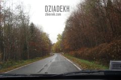 Niestety już coraz mniej liści na drzewach