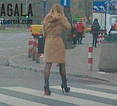 161120121767cz.jpg