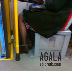 301120122214v.jpg
