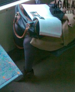 301120122172kol.jpg