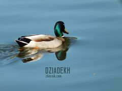 Wspomnienie z letnich wojaży
