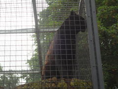 DSC03038.JPG