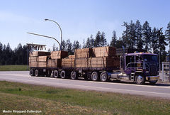 file0019.jpg