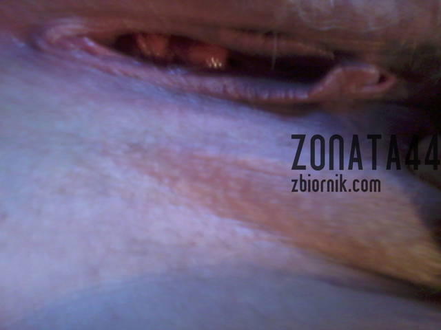 zonata44