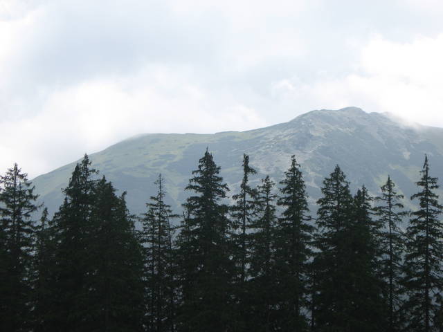 cały ja - oliczek4580