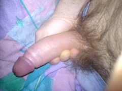 DSC00259.JPG
