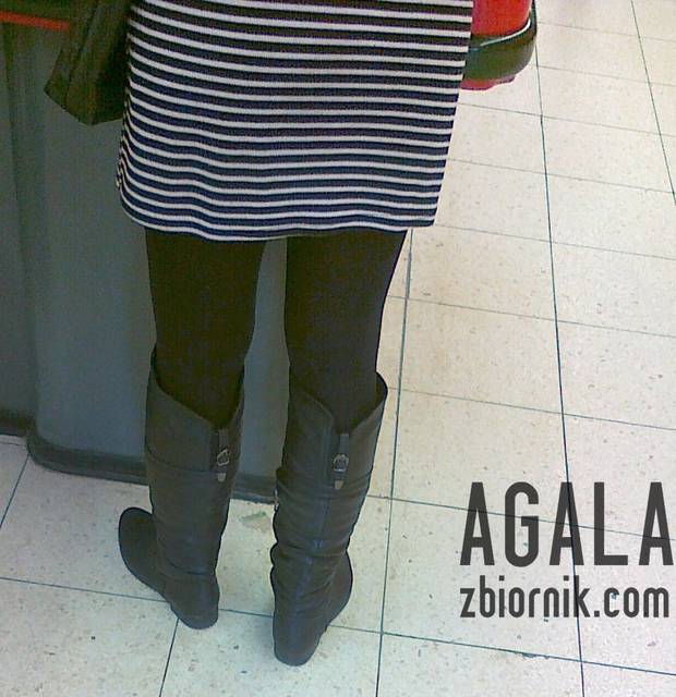 301220122555cz.jpg - AGALA
