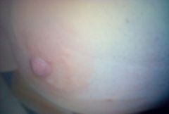 IMG-20130102-00107.jpg