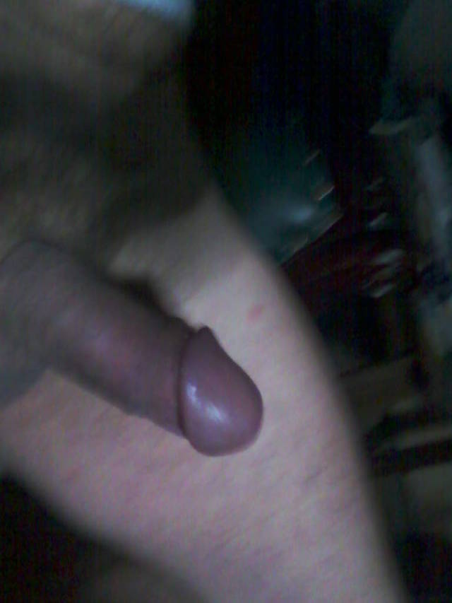 Fredy1254